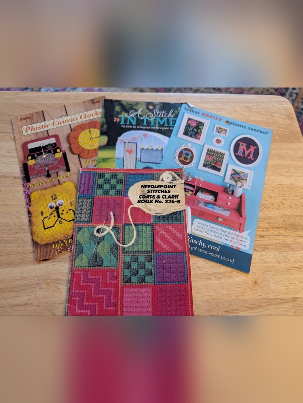 Needlepoint Stitches & Plastic Canvas (6)